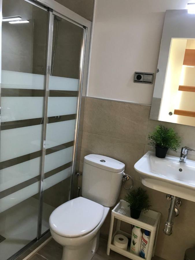 Apartamentos Centro マラガ エクステリア 写真